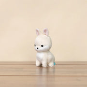 Mini Dwarf White Rabbit