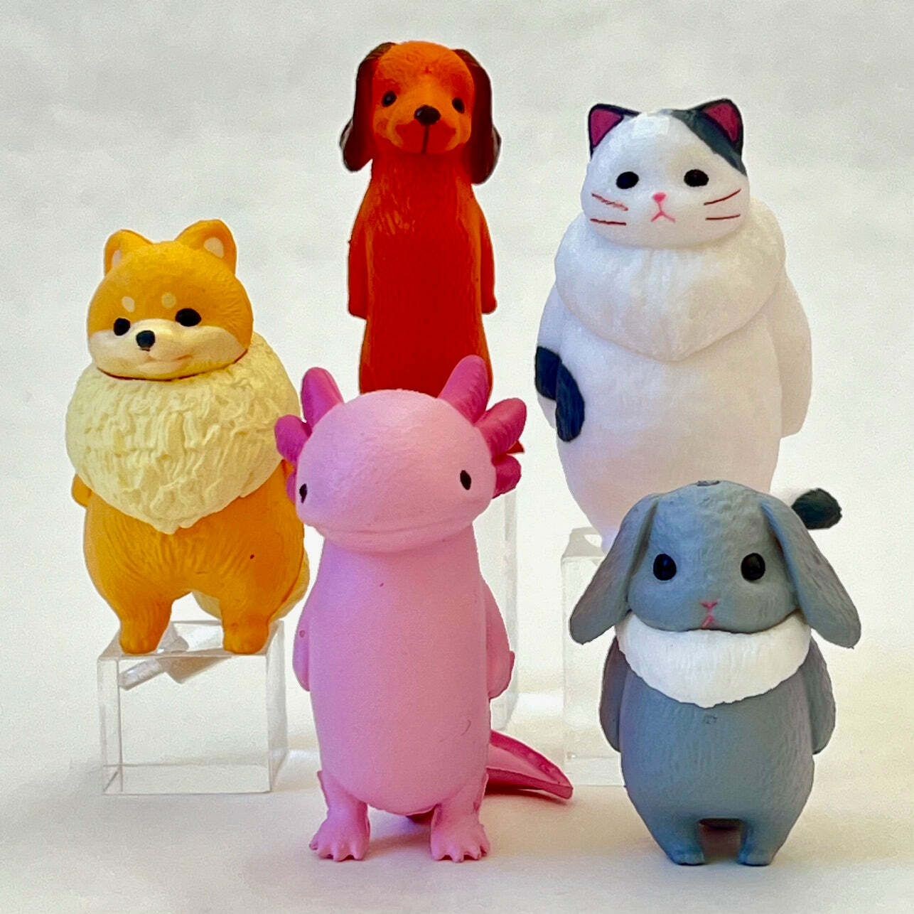 Kyomu Void Animals Blind Box (assorted)