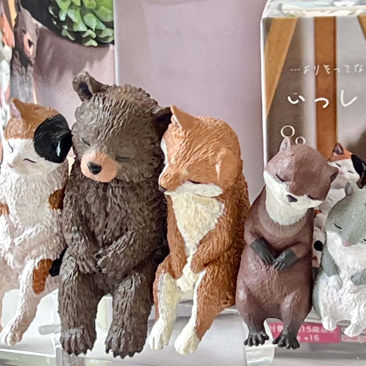 Sleepy Animals Figurine Blind Box (assorted)