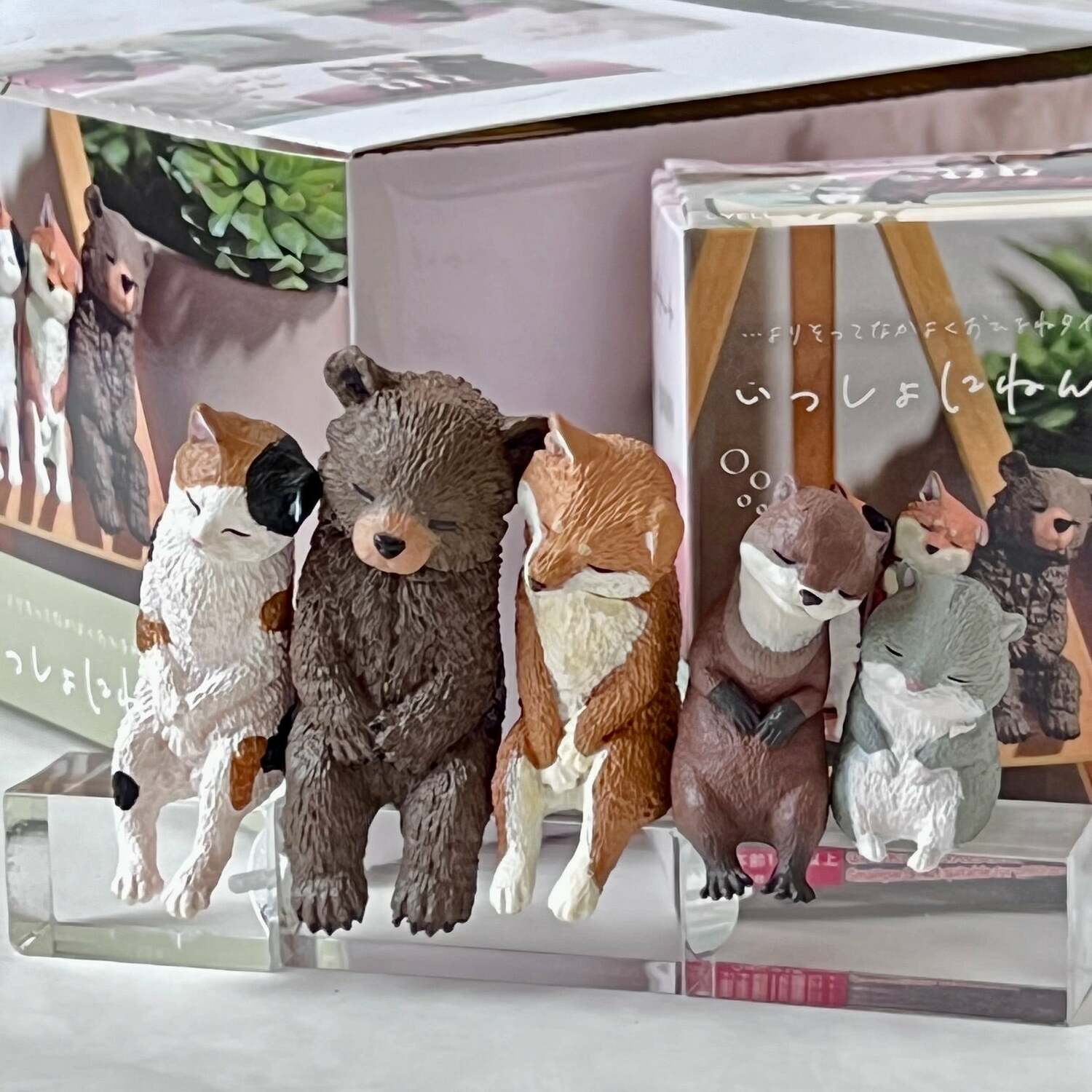 Sleepy Animals Figurine Blind Box (assorted)