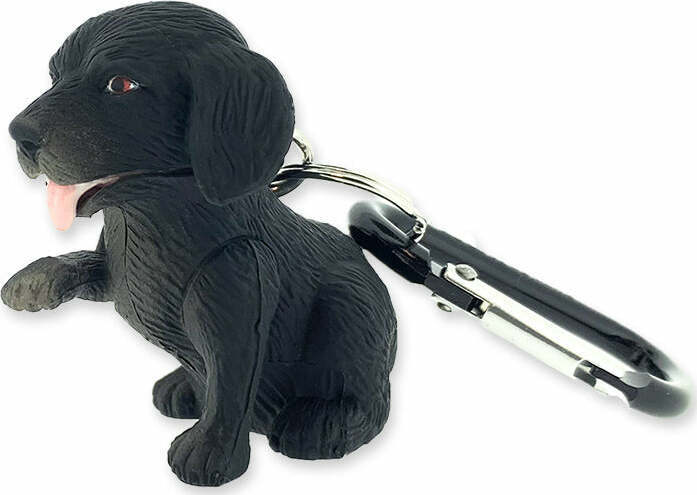 Dog WildLight (Black Lab)