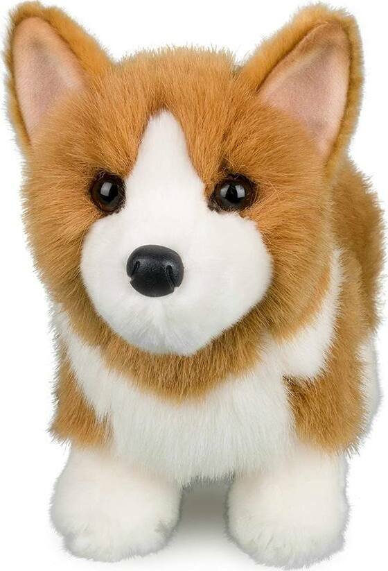 Louie Corgi