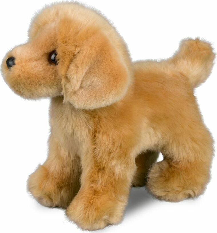 Chap Golden Retriever