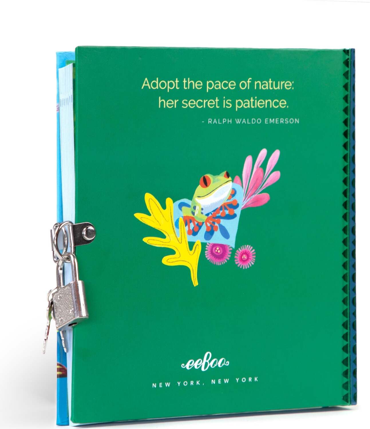 Rainforest Animals (journals)