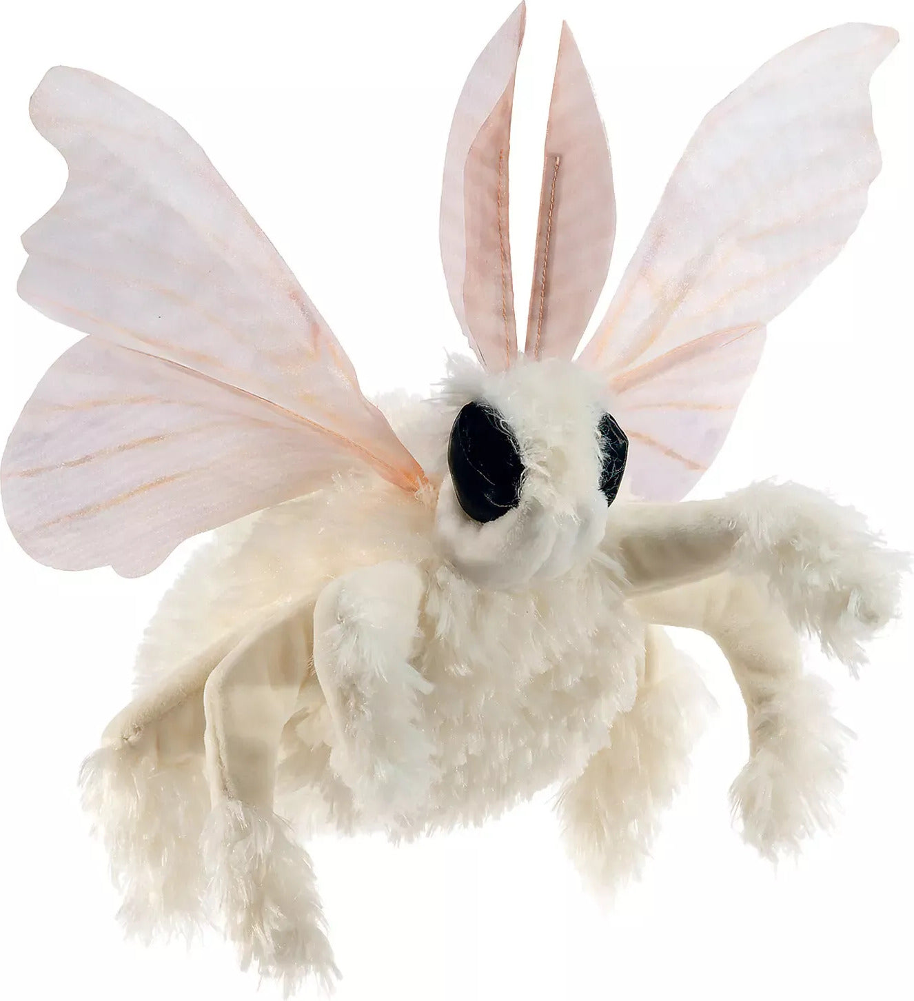 Poodle Moth