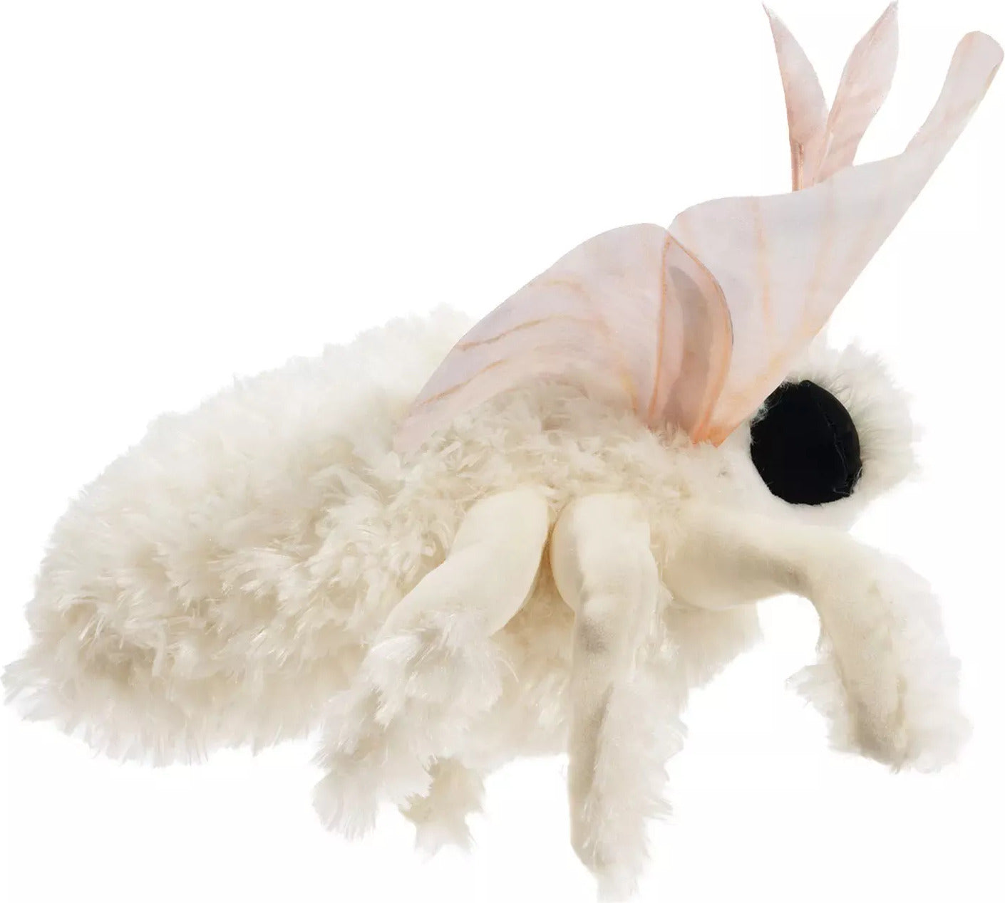 Poodle Moth