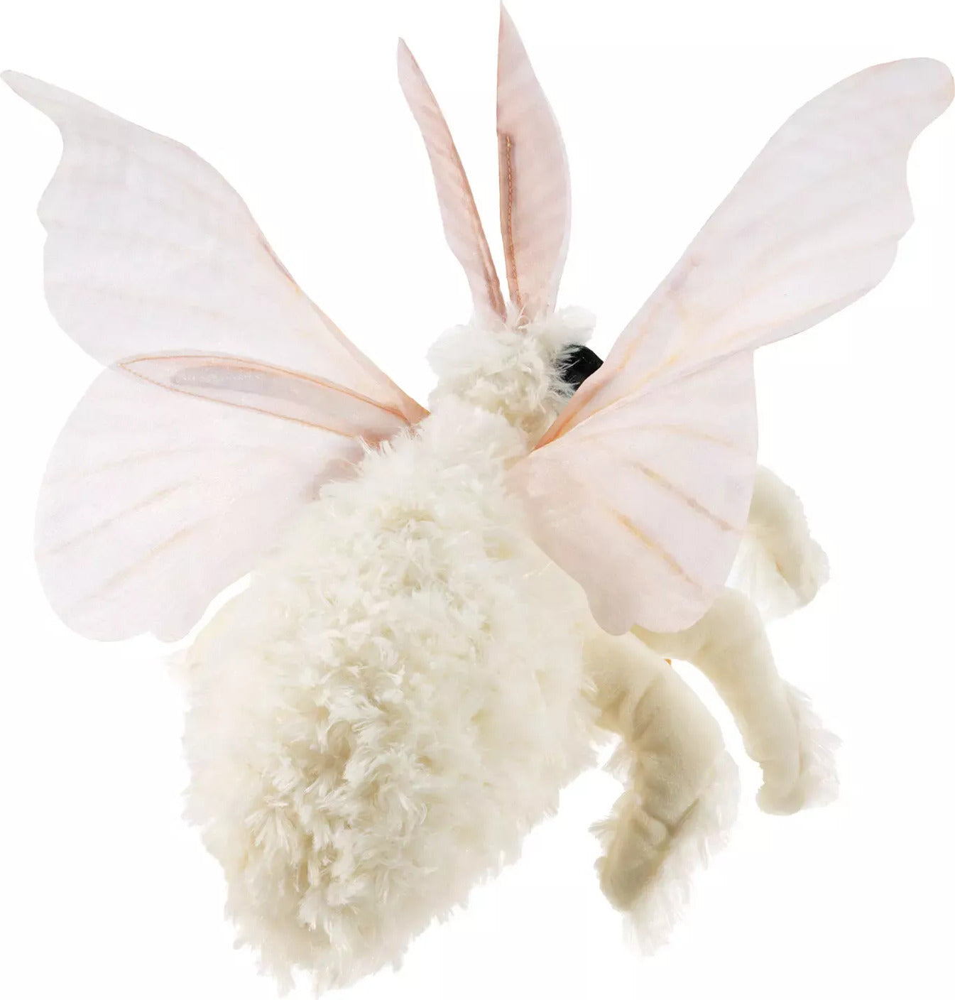 Poodle Moth