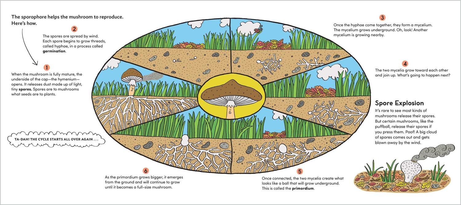 World of Mushrooms: Discover the Freaky, Fantastic Fungi That Lurk in the Woods, Pop Up in Lawns, and Sneak Around Underground
