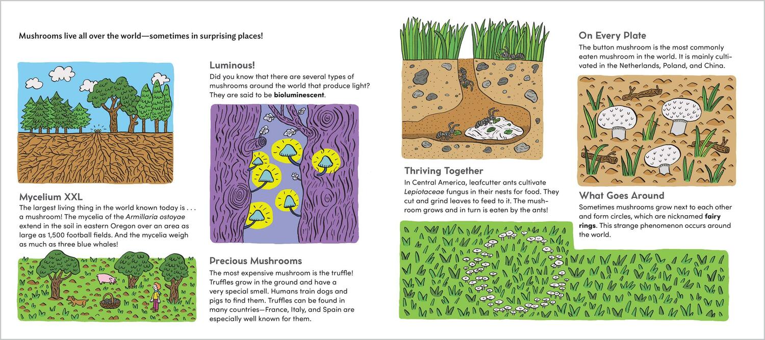 World of Mushrooms: Discover the Freaky, Fantastic Fungi That Lurk in the Woods, Pop Up in Lawns, and Sneak Around Underground