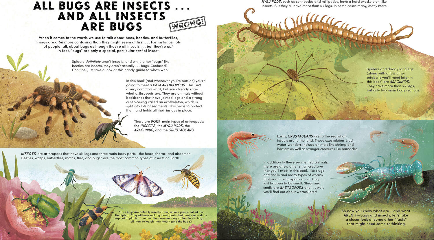 Everything You Know About Bugs (and Other Tiny Creatures) is Wrong!