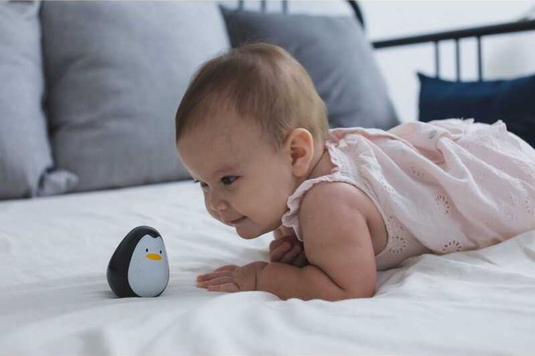 Penguin
