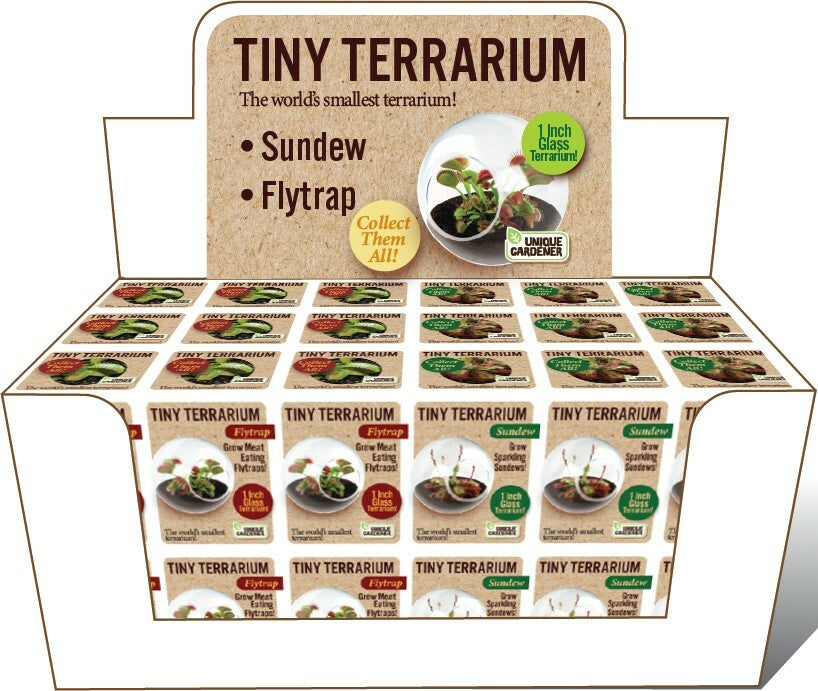 Tiny Terrariums Carnivorous (assorted)