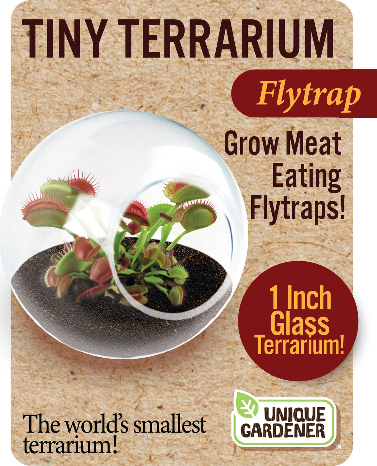 Tiny Terrariums Carnivorous (assorted)
