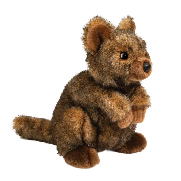 Quinn Quokka