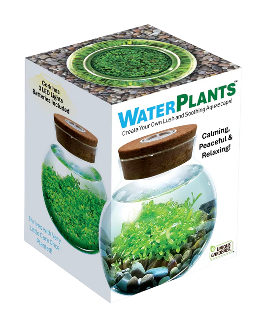 Mini Water Plants