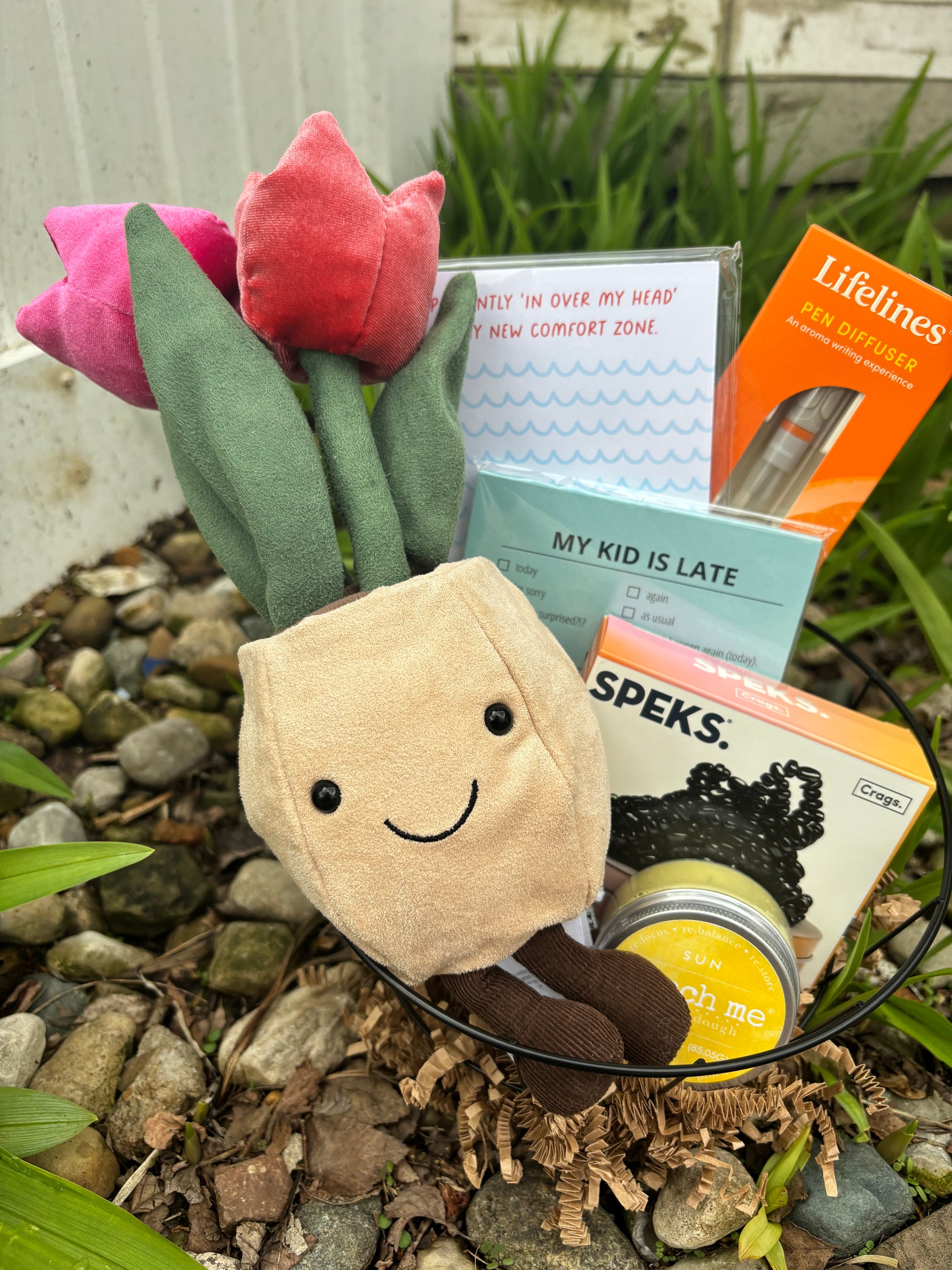 The Mother's Day Plan