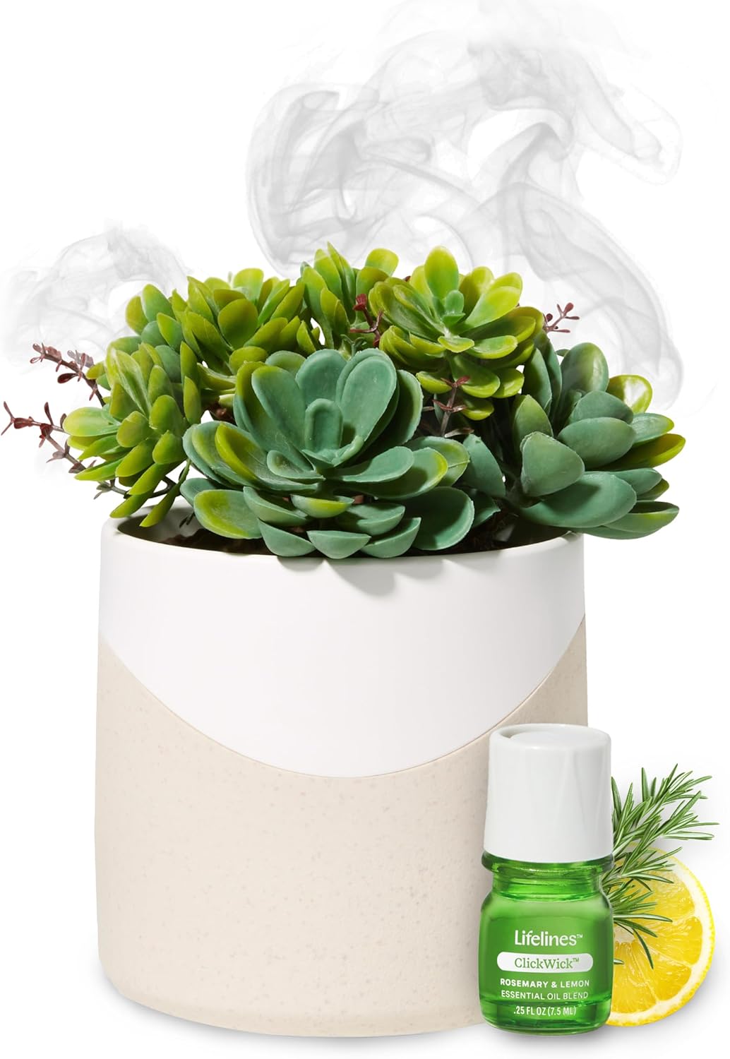 Lifelines Succulent Diffuser