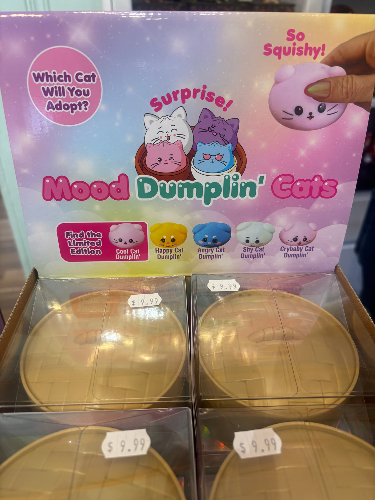 Mood Dumplin Cat Faces