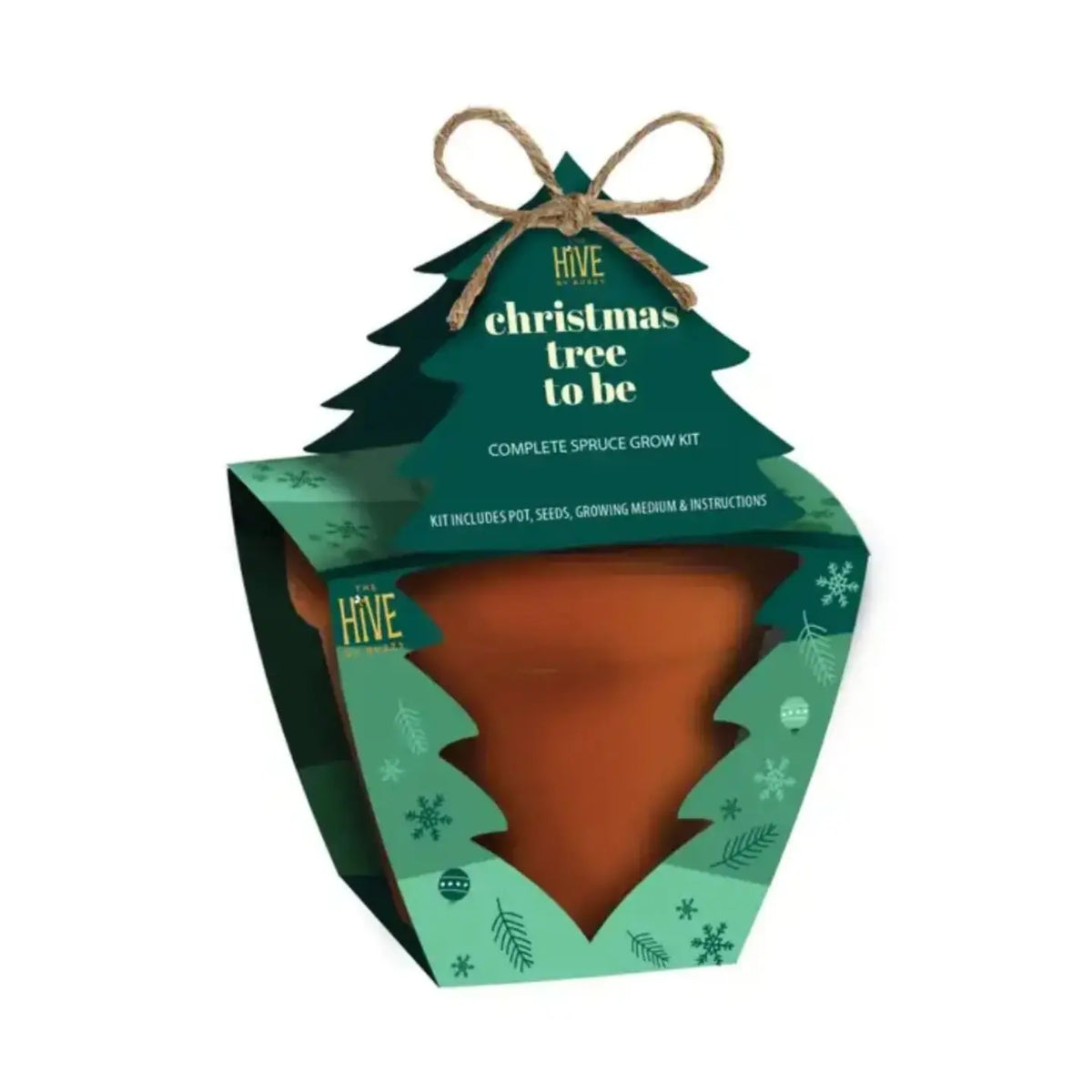 Spruce Tree To Be Grow Kit