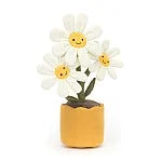 Amuseable Daisy