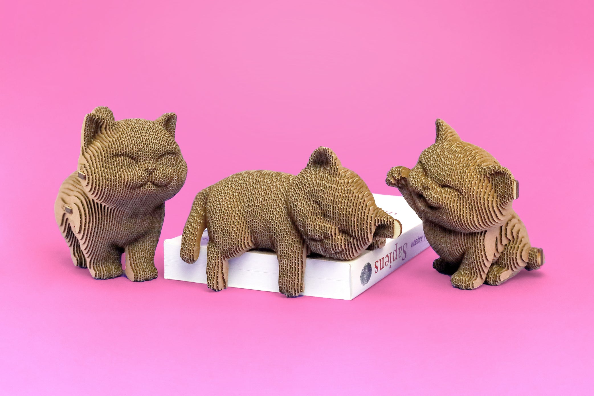 Trio Kittens 3D Puzzle