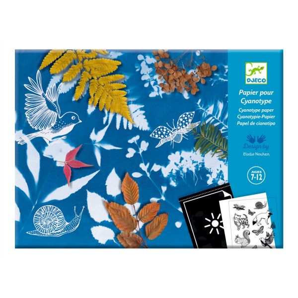 Cyanotype Starter Craft Kit
