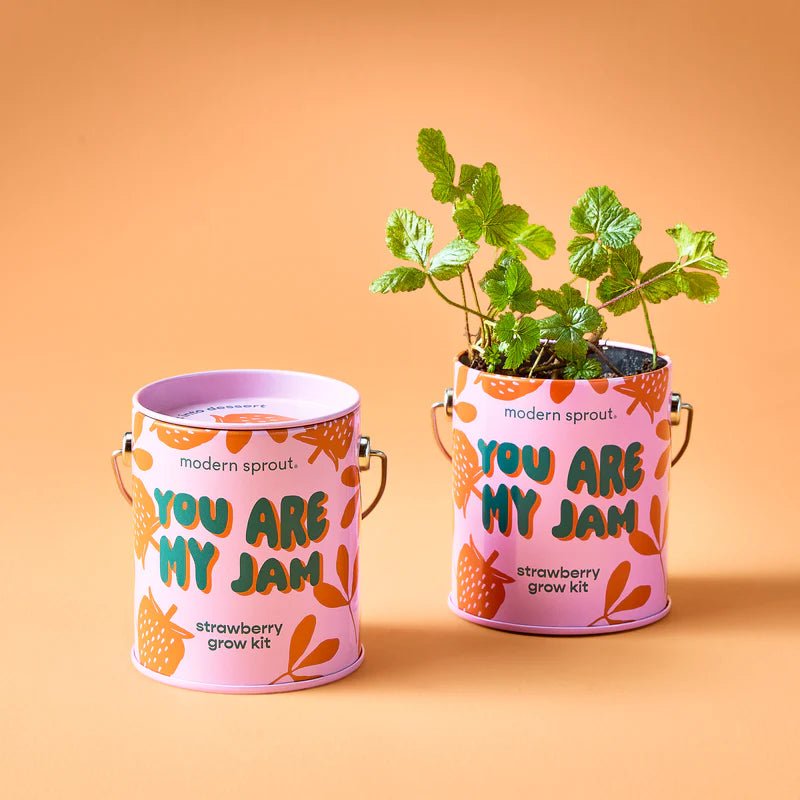 You Are My Jam; Strawberry Grow Kit