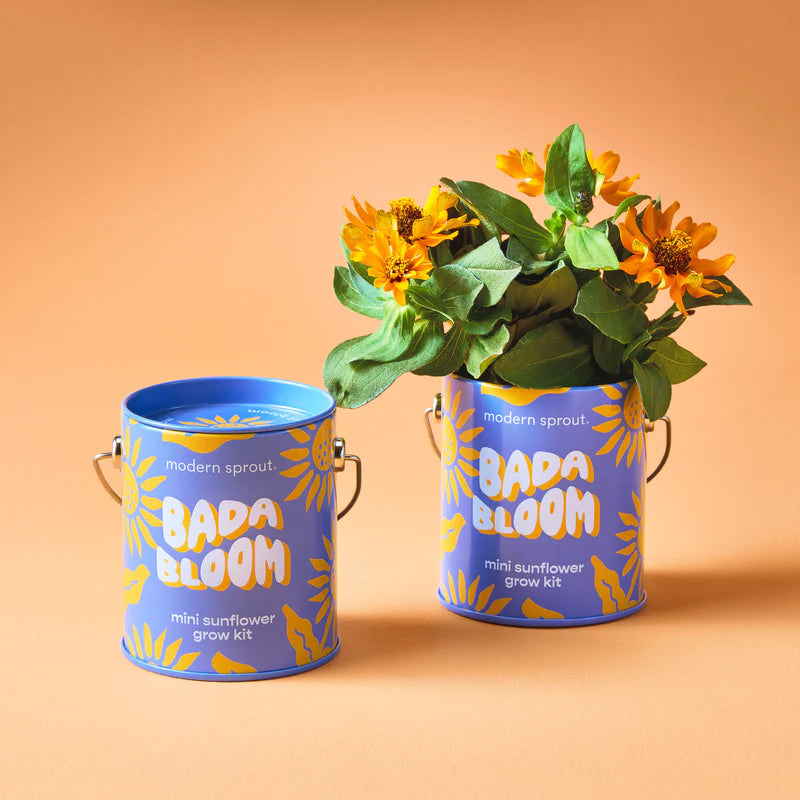Bada Bloom; Sunflower Grow Kit