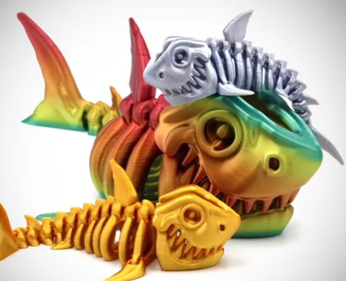 Large Shark Skeleton