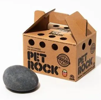 Pet rock shop