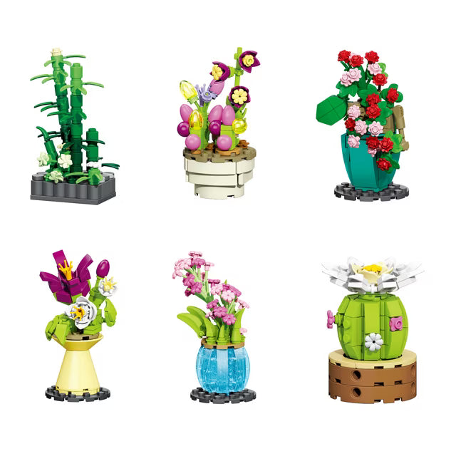 Flora Studio Floral & Succulents