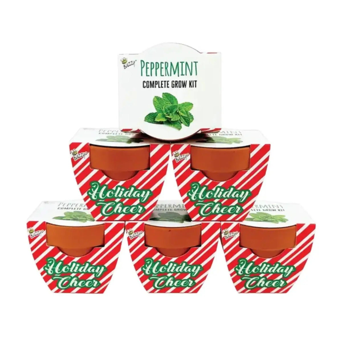 Holiday Mini Terracotta Candy Cane Grow Pot