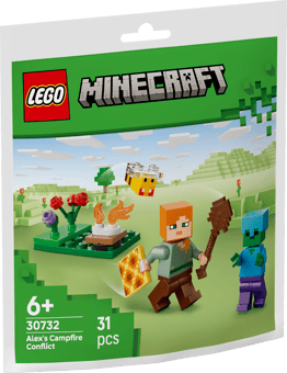 Lego Alex's Campfire Conflict