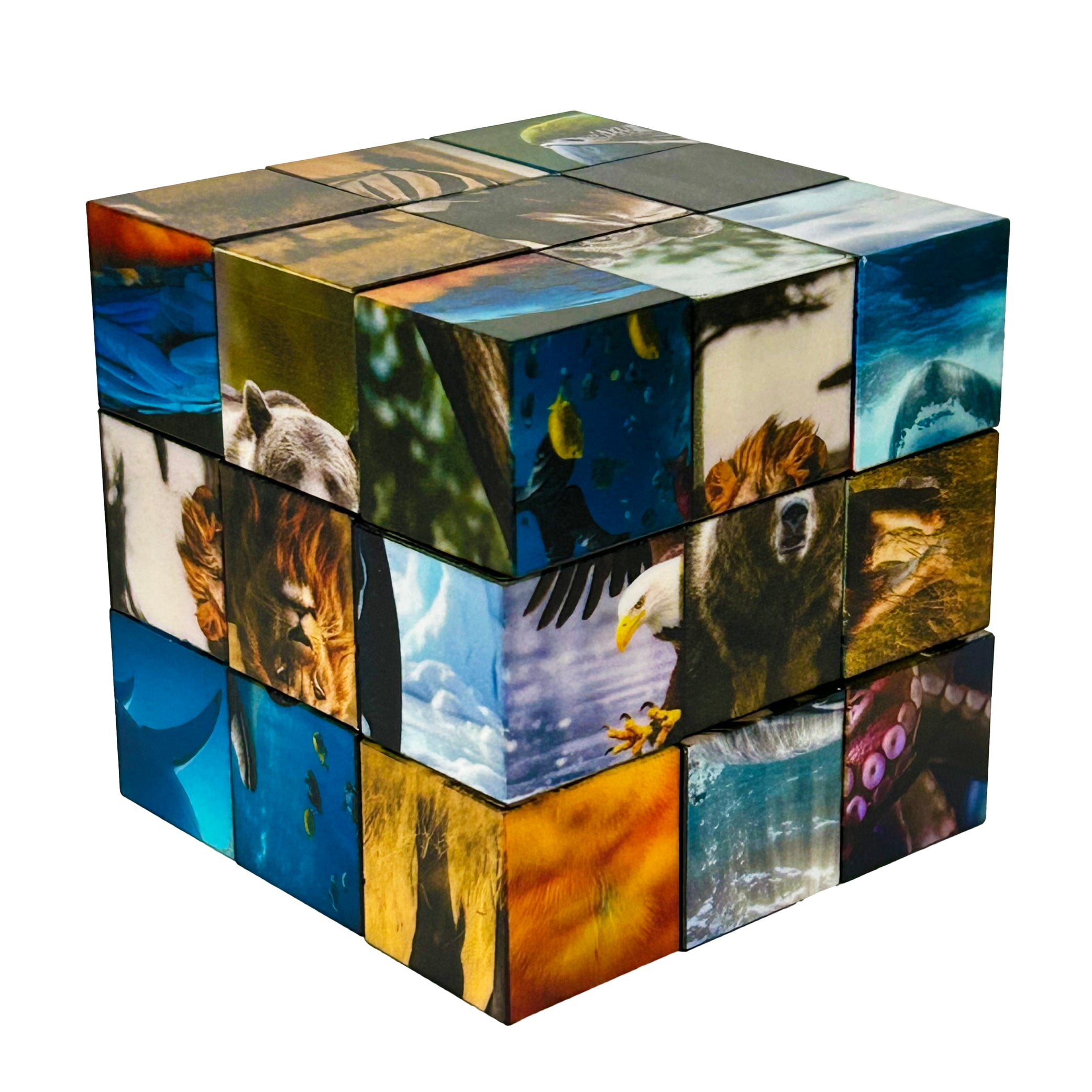 Click Blocks - Magnetic Animal Puzzle (27 pc)
