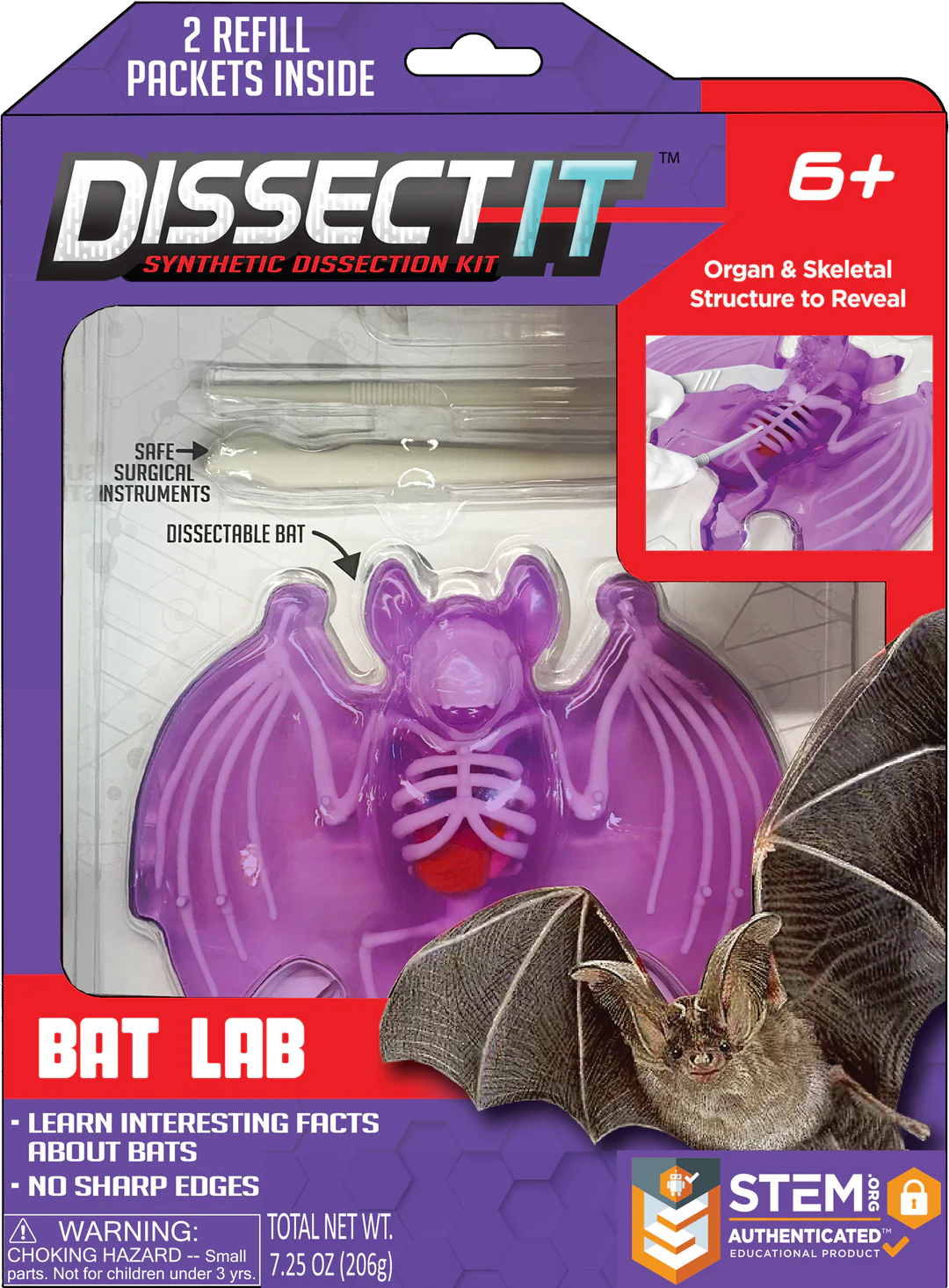 Dissect It Bat Lab