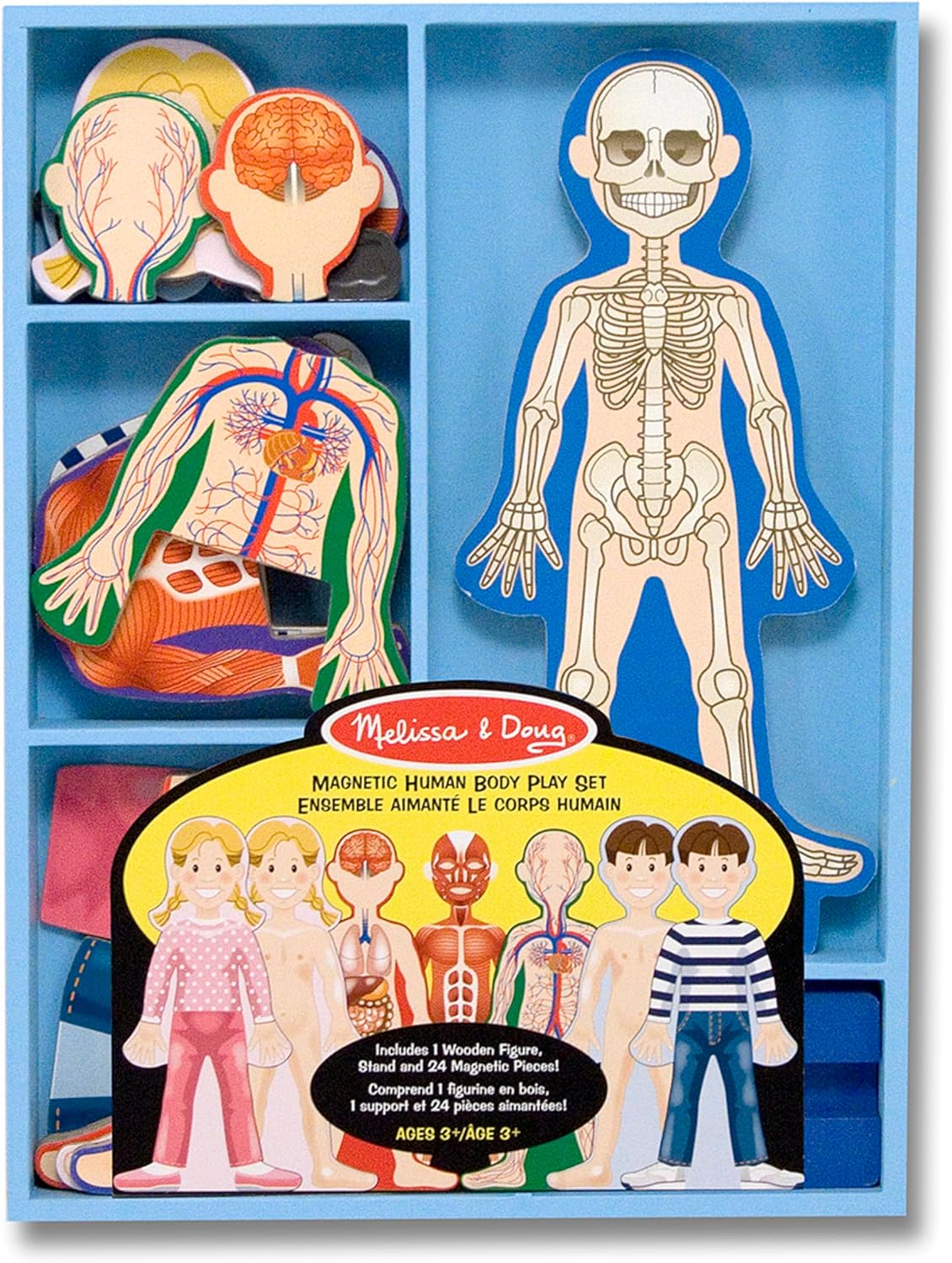 Magnetic Human Body Play Set