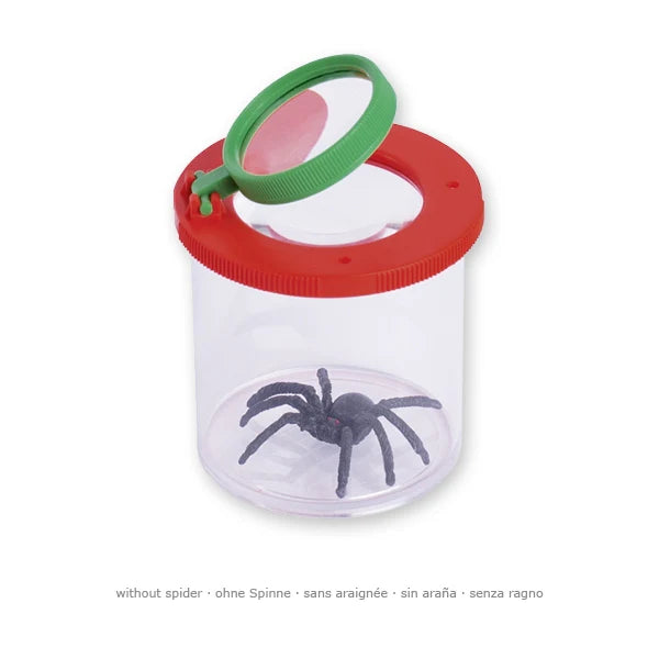 Insect Magnifying Box