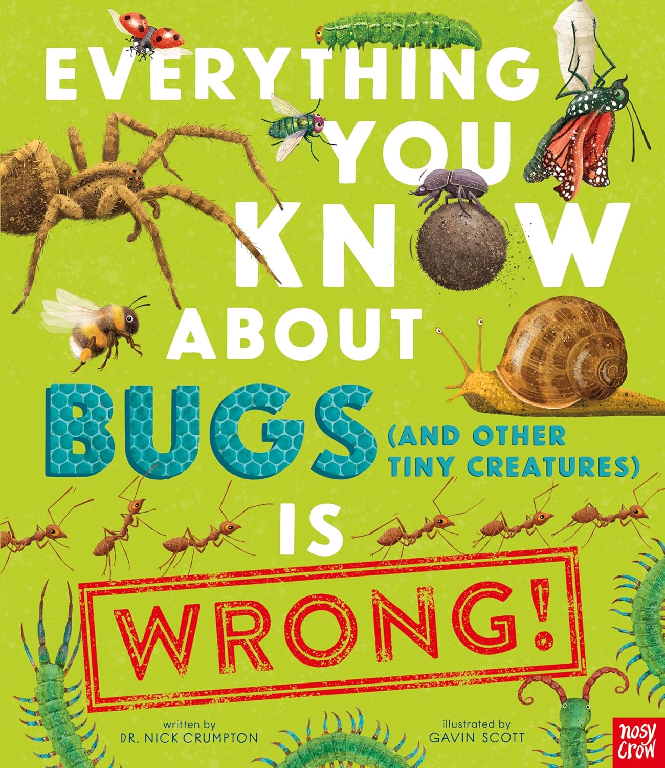 Everything You Know About Bugs is Wrong