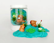 Capybara Mini Dough-To-Go Play Kit