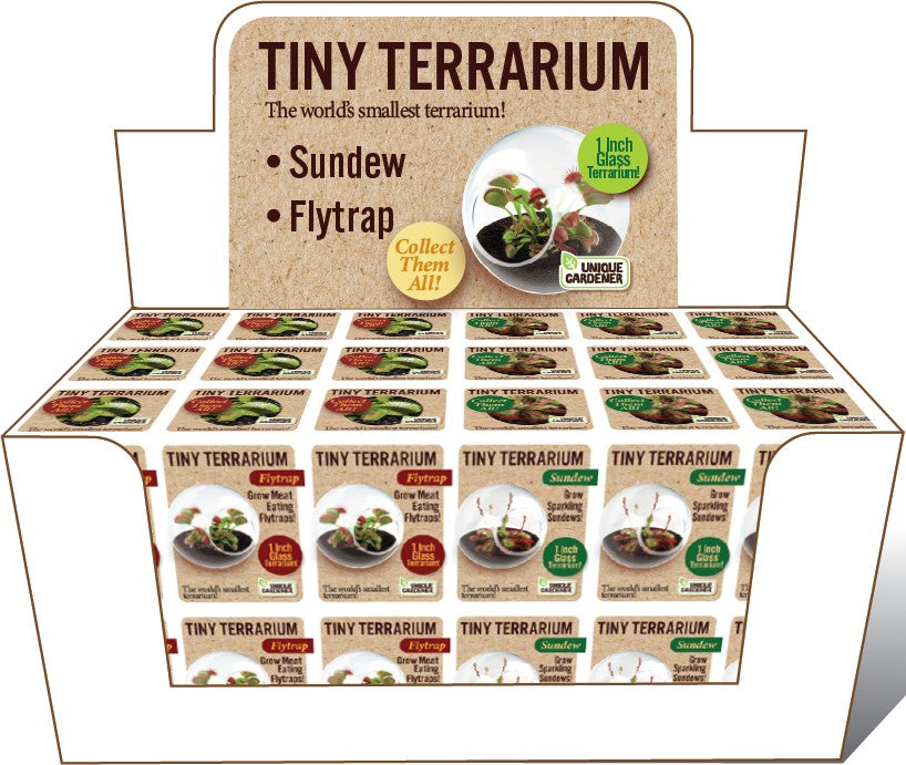 Tiny Terrariums - Carnivorous