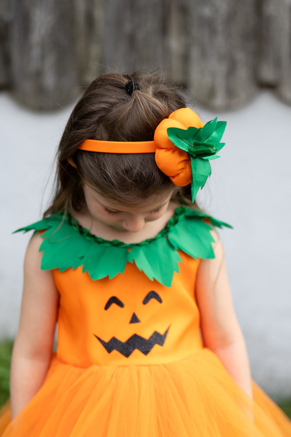 Pumpkin Patch Princess Dress (Size 2T)