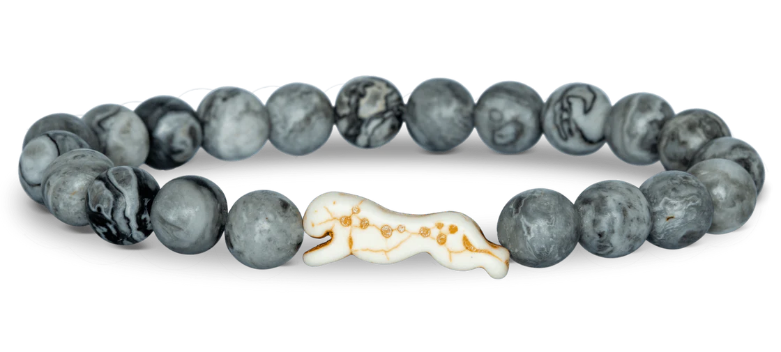 The Sprint Bracelet - Cheetah, Cloudburst