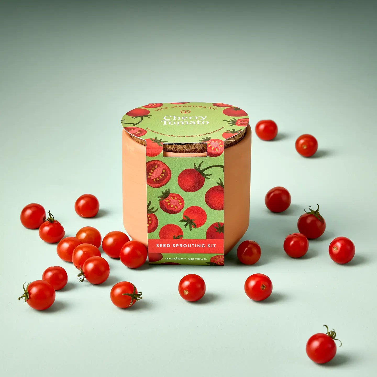 Tiny Terracotta Garden Kit- Cherry Tomato