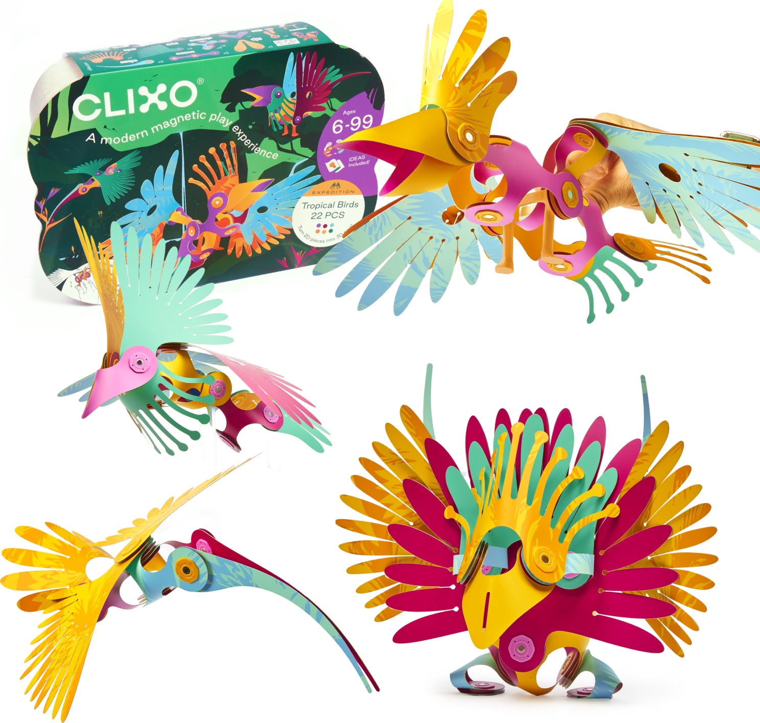 Clixo Tropical Birds Pack