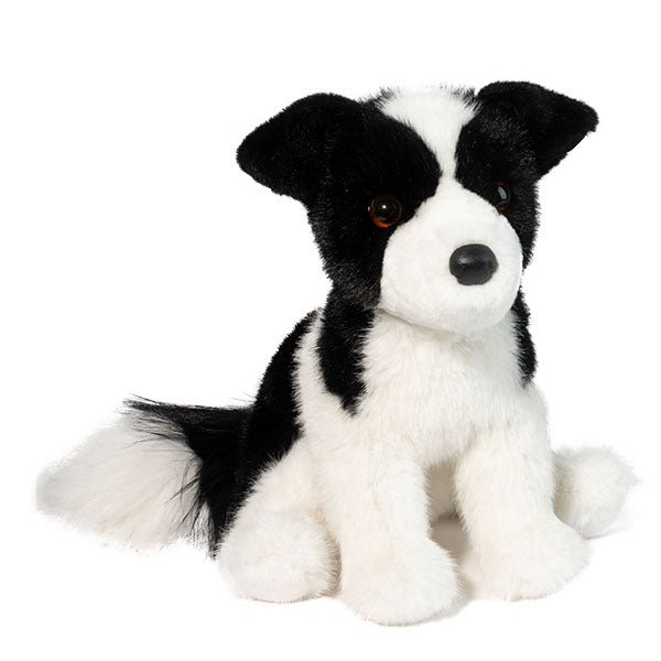 Border Collie Soft