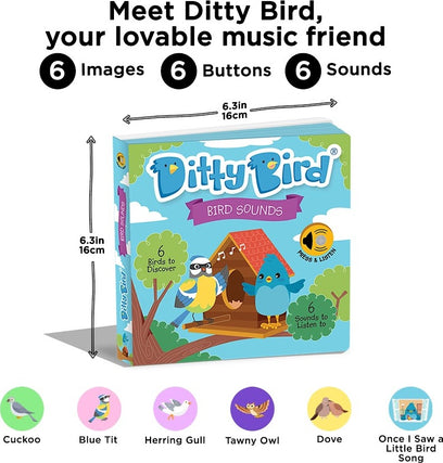 Ditty Bird: Bird Songs