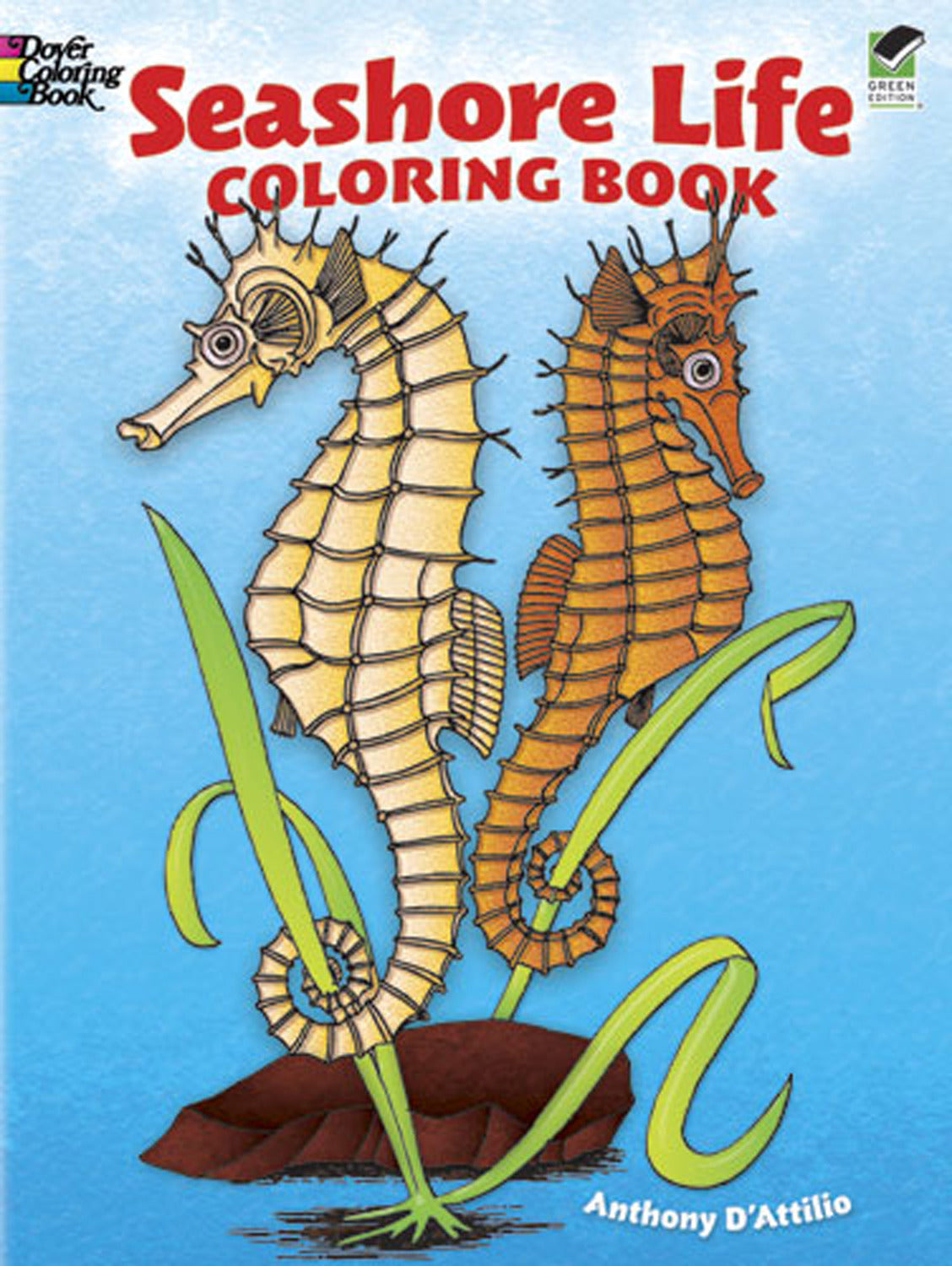 Seashore Life Coloring Book