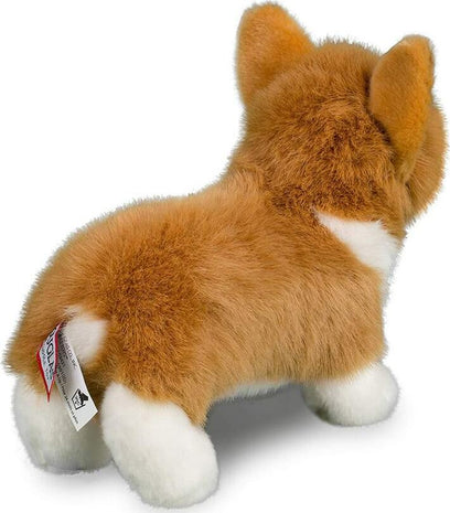 Louie Corgi