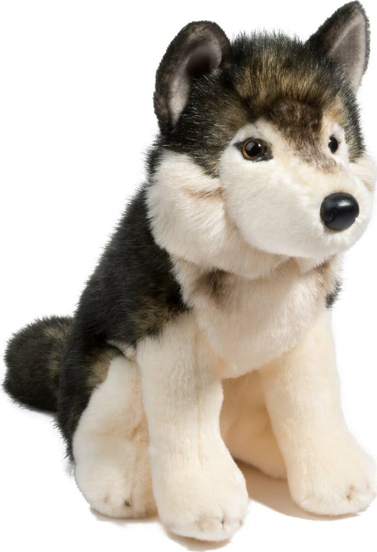 Atka Wolf