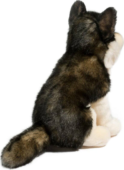 Atka Wolf